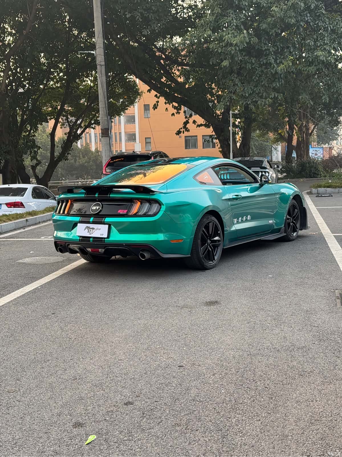 Ford Mustang, 2016 9