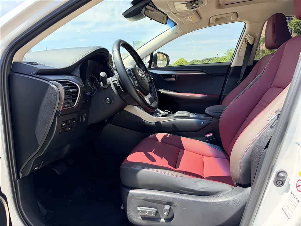 Lexus NX, 2018 14