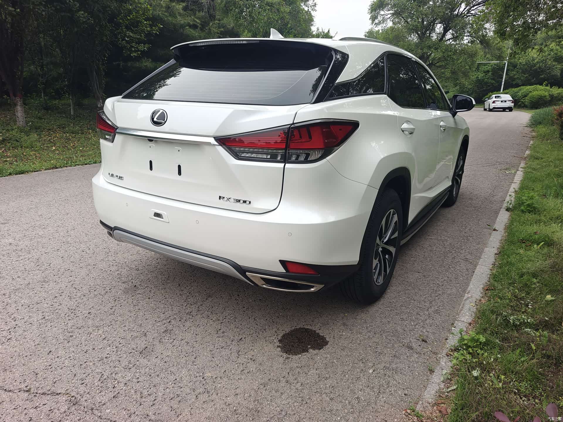 Lexus RX, 2020 4