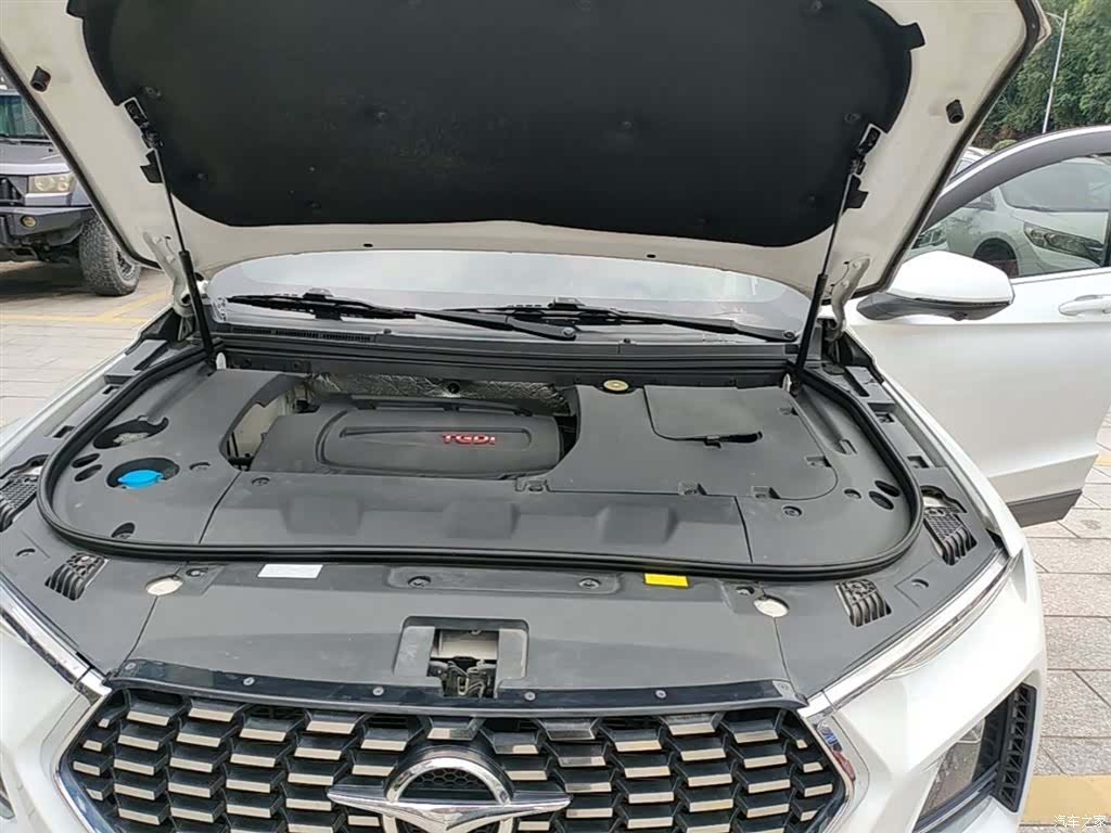 Haima 8S, 2020 20