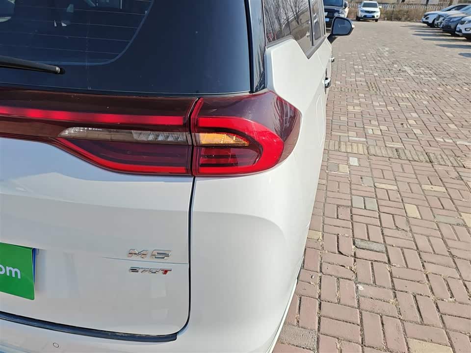 Trumpchi Trumpchi M6