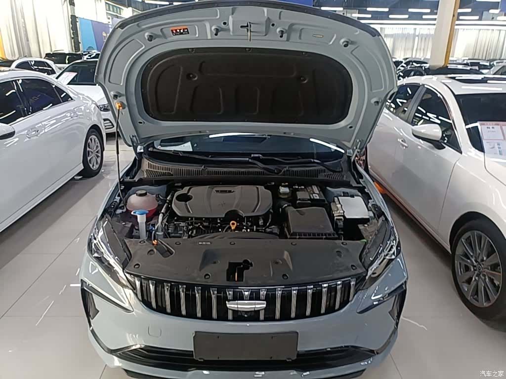 Geely Binray, 2026 20