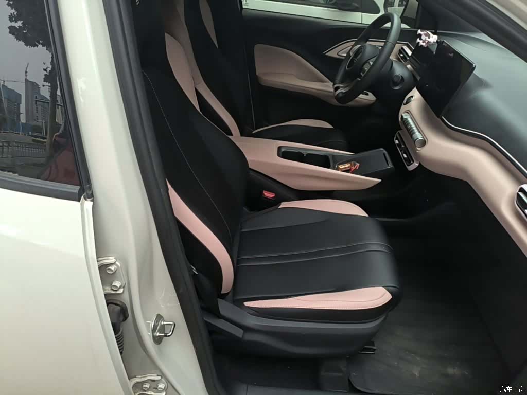 BYD Seagull, 2024 25