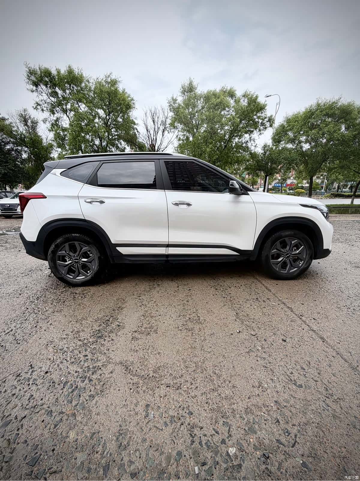 Kia Seltos, 2023 7