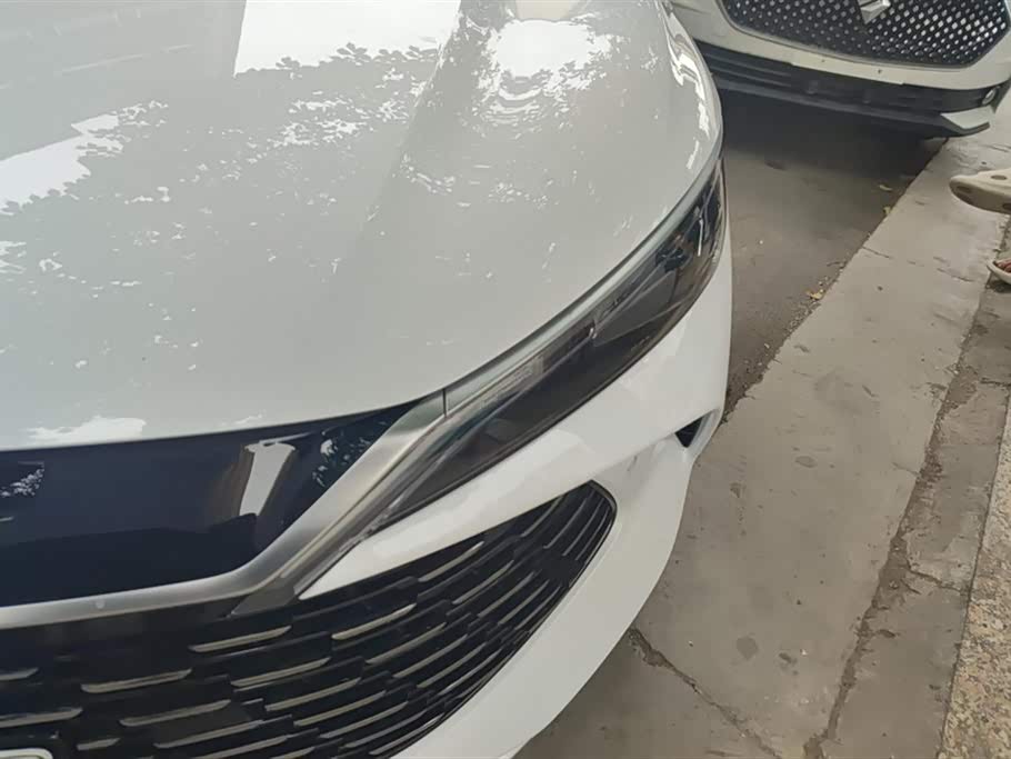 BYD Qin L BYD Qin L