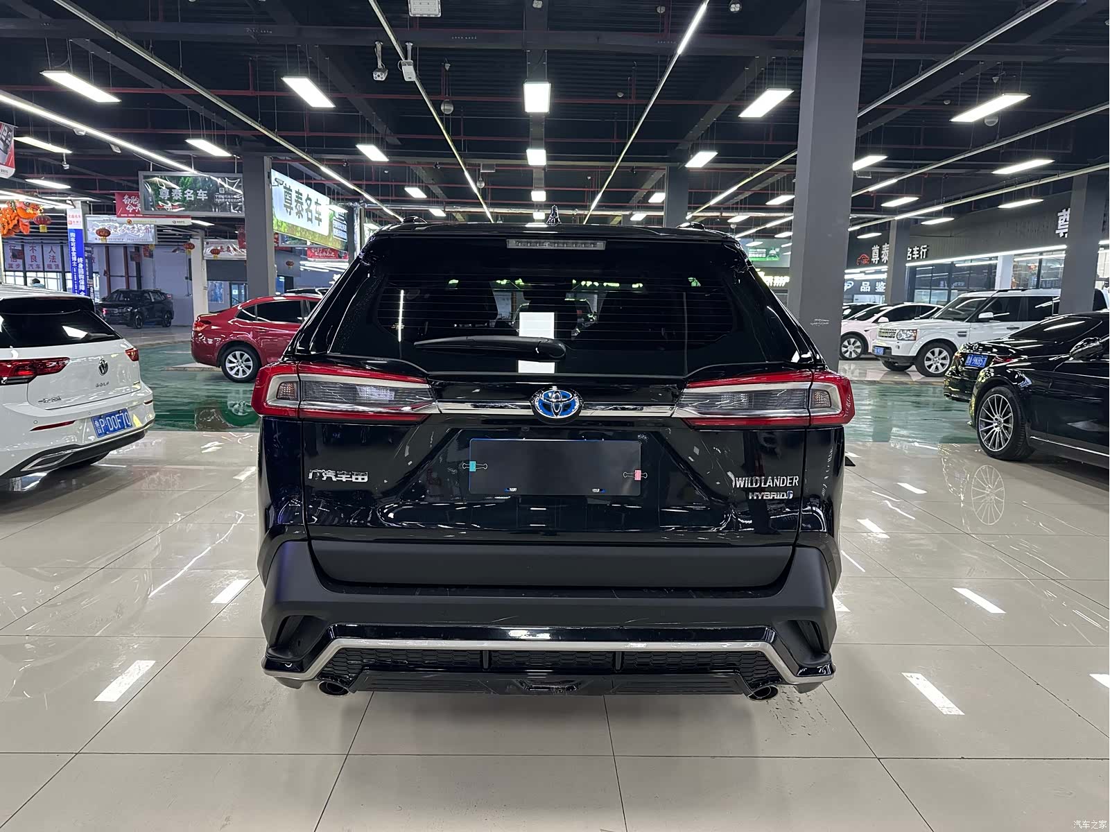 Toyota Wildlander, 2021 все фото