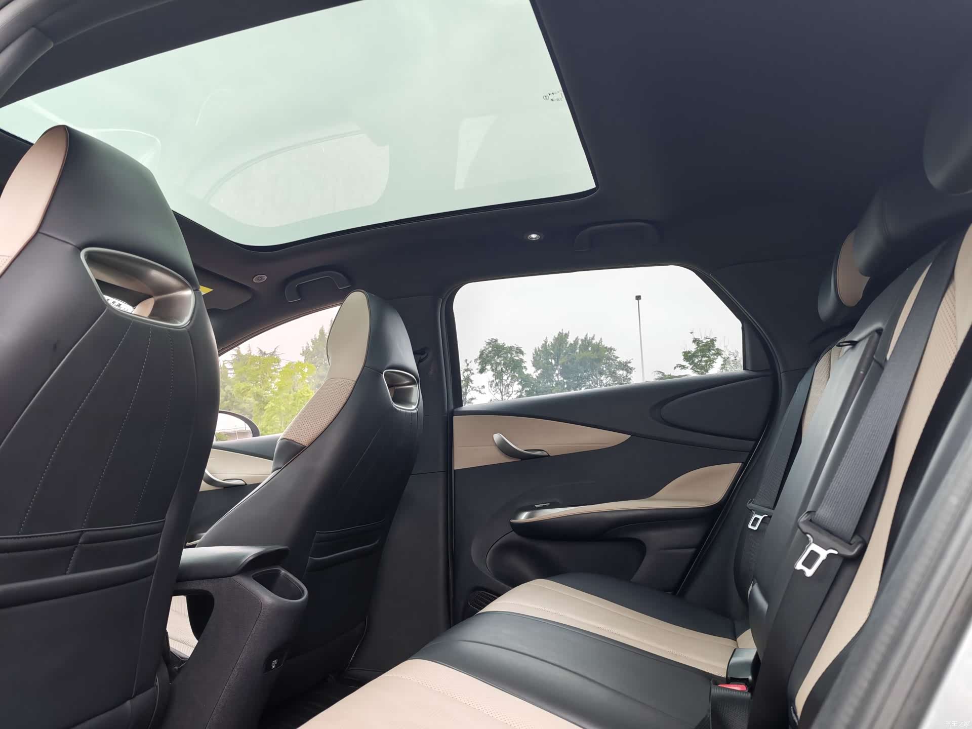 BYD Dolphin, 2023 10