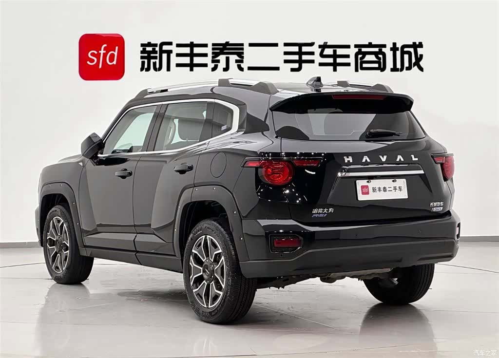 Haval Big Dog, 2023 6