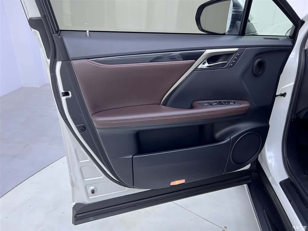 Lexus RX, 2022 17