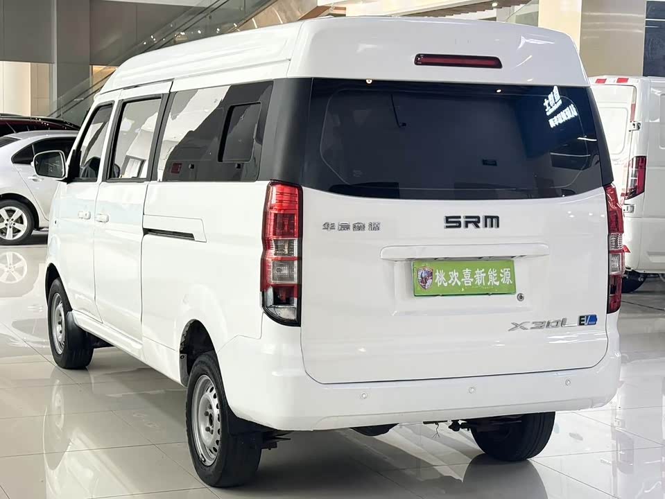 Shineray  Sea Lion EV