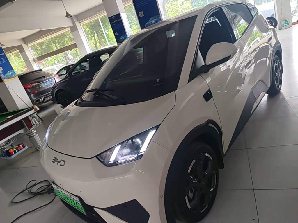 BYD Seagull