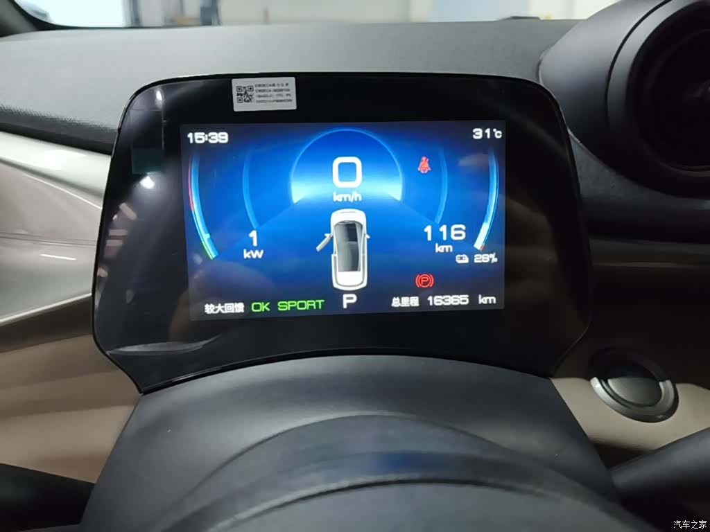BYD Dolphin, 2024 12