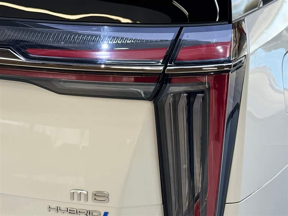 Trumpchi Trumpchi M8