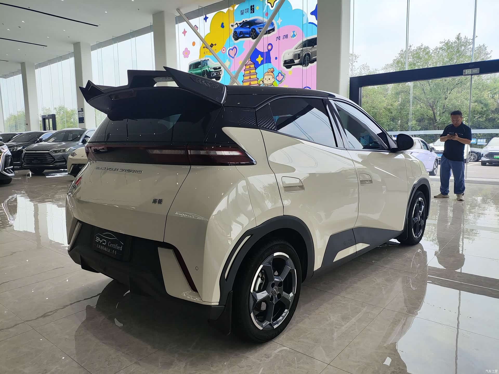 BYD Seagull, 2023 все фото