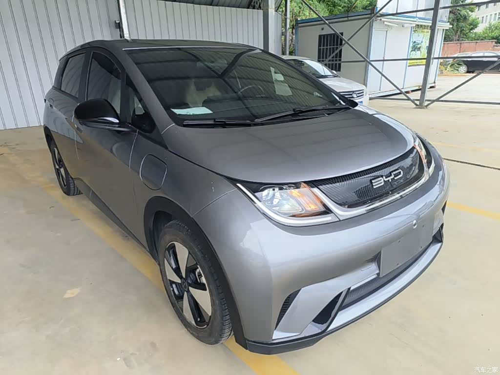 BYD Dolphin, 2023 4