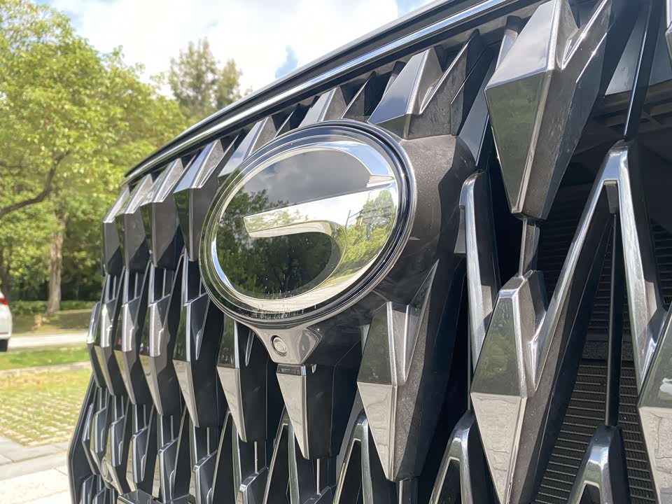 Trumpchi Trumpchi GS8