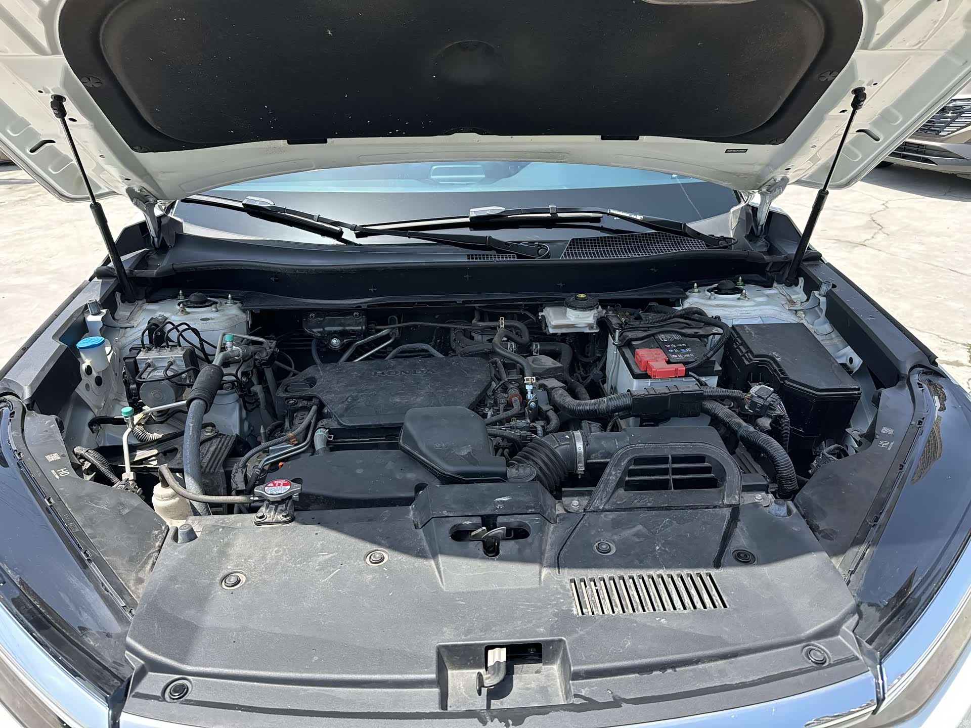 Honda Breeze, 2024 21