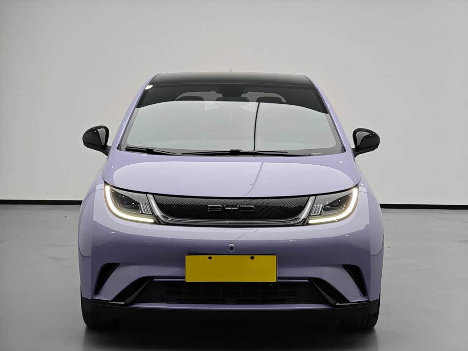 BYD dolphin
