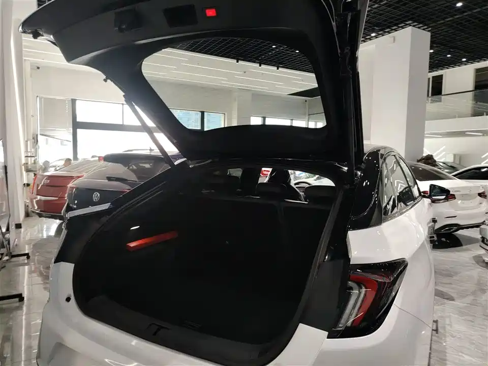 ARCFOX Polar Fox Alpha S