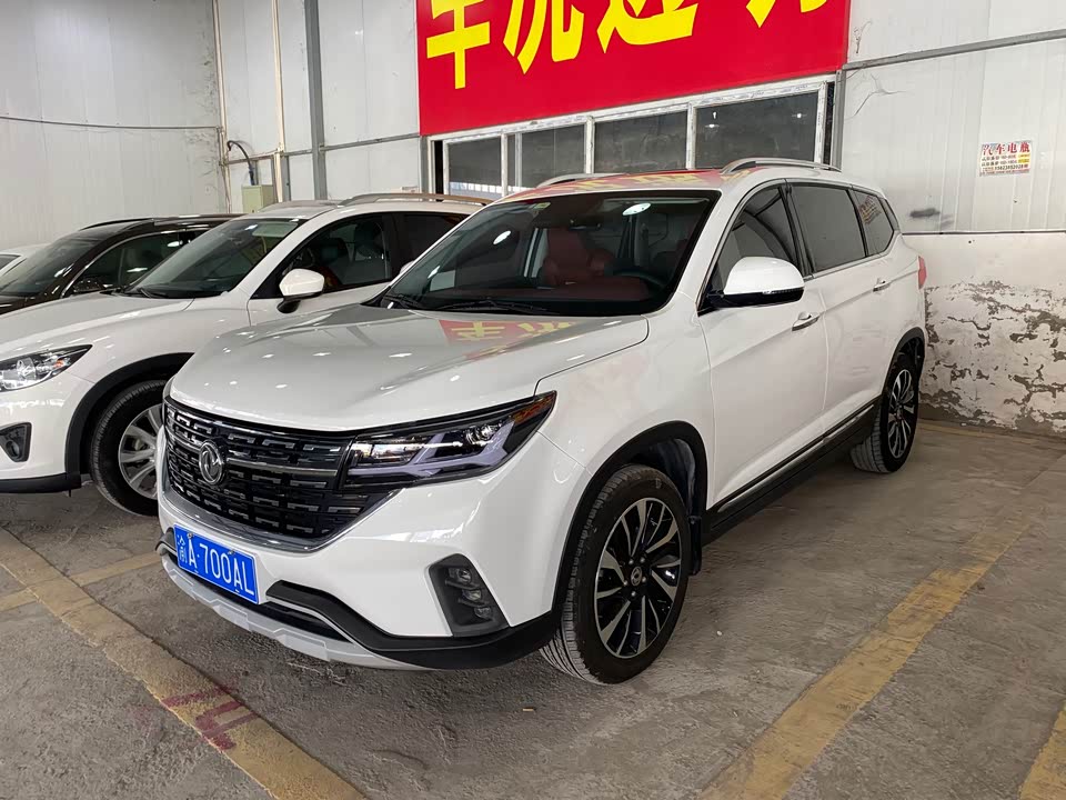 Forthing Popular T5 Forthing Popular T5