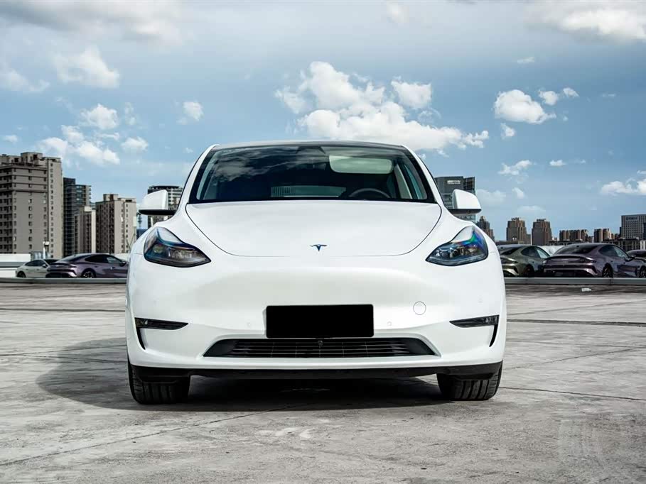 Tesla Model Y Tesla Model Y