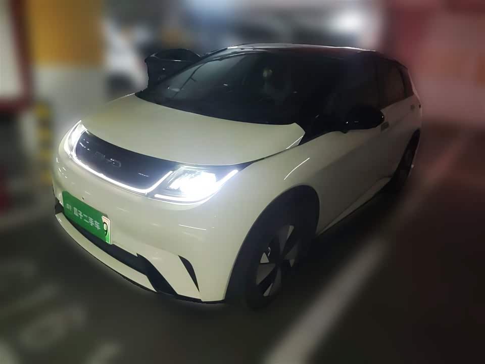 BYD dolphin