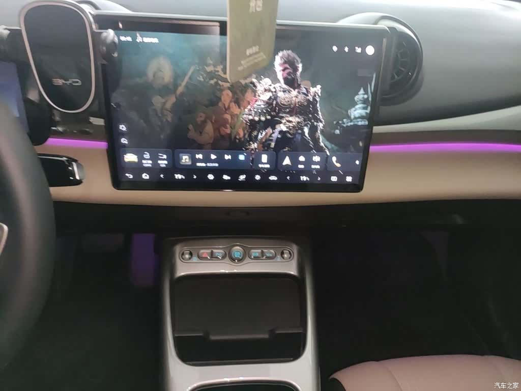 BYD Dolphin, 2026 13