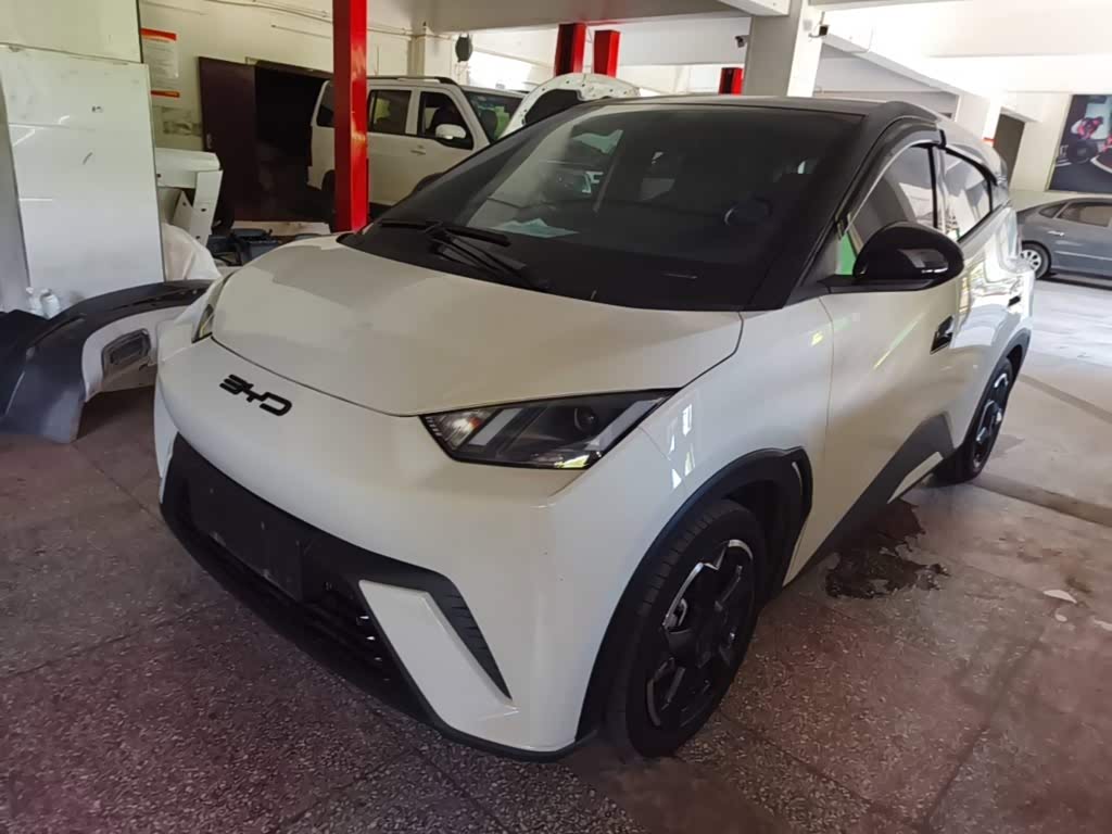 BYD Seagull