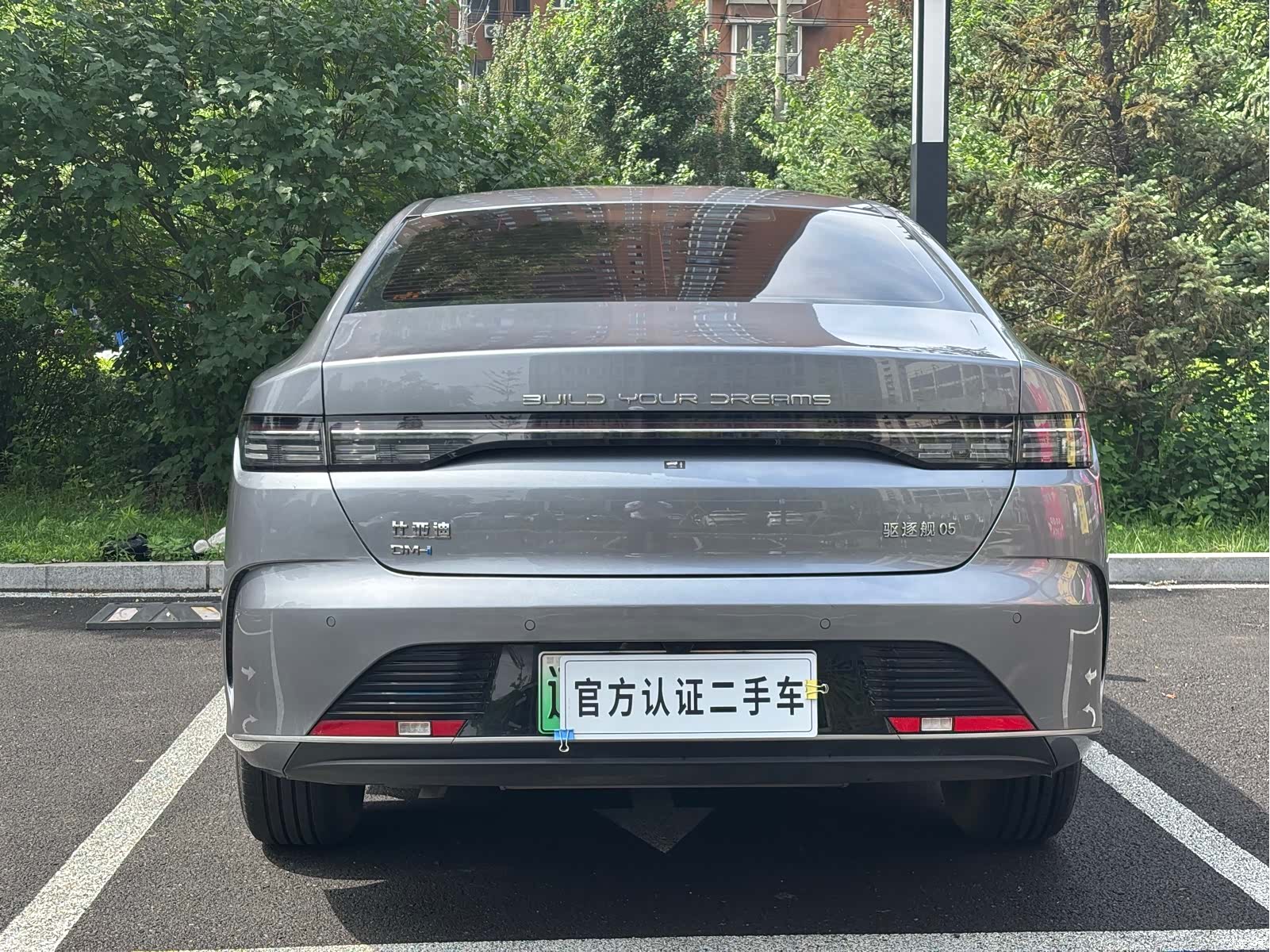 BYD Destroyer 05, 2024 все фото