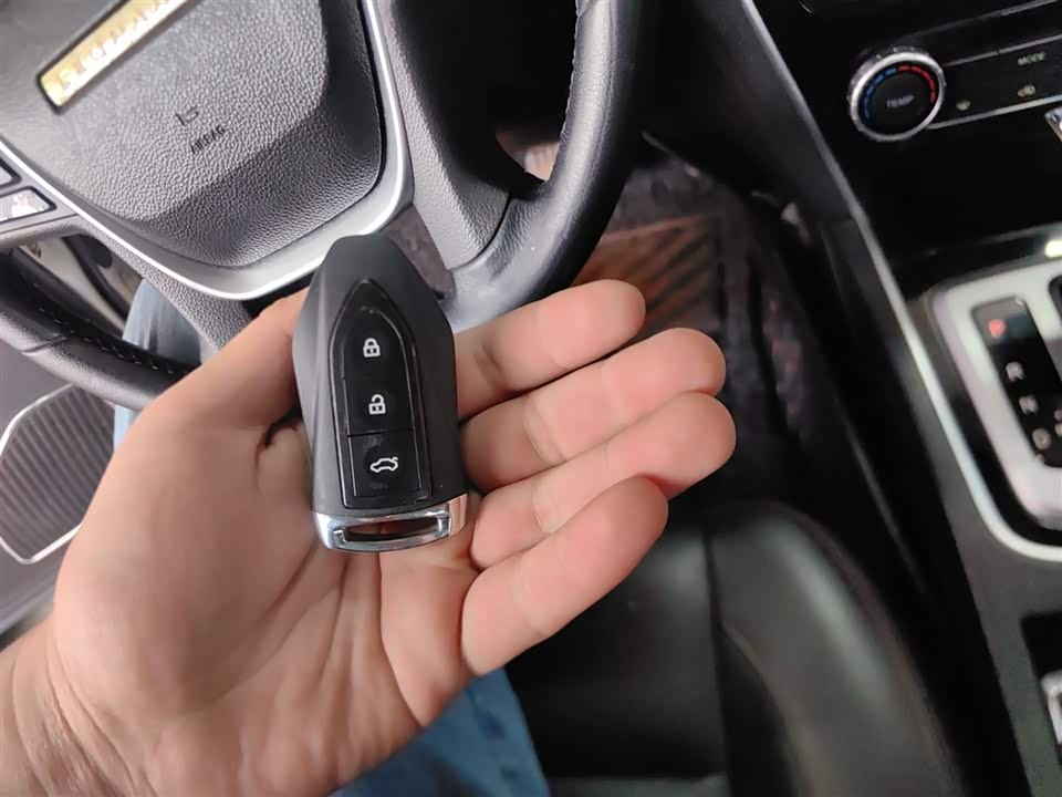 Leopaard Cheetah CS10