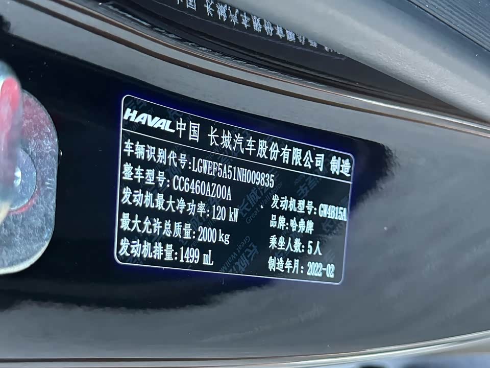Haval Big dog