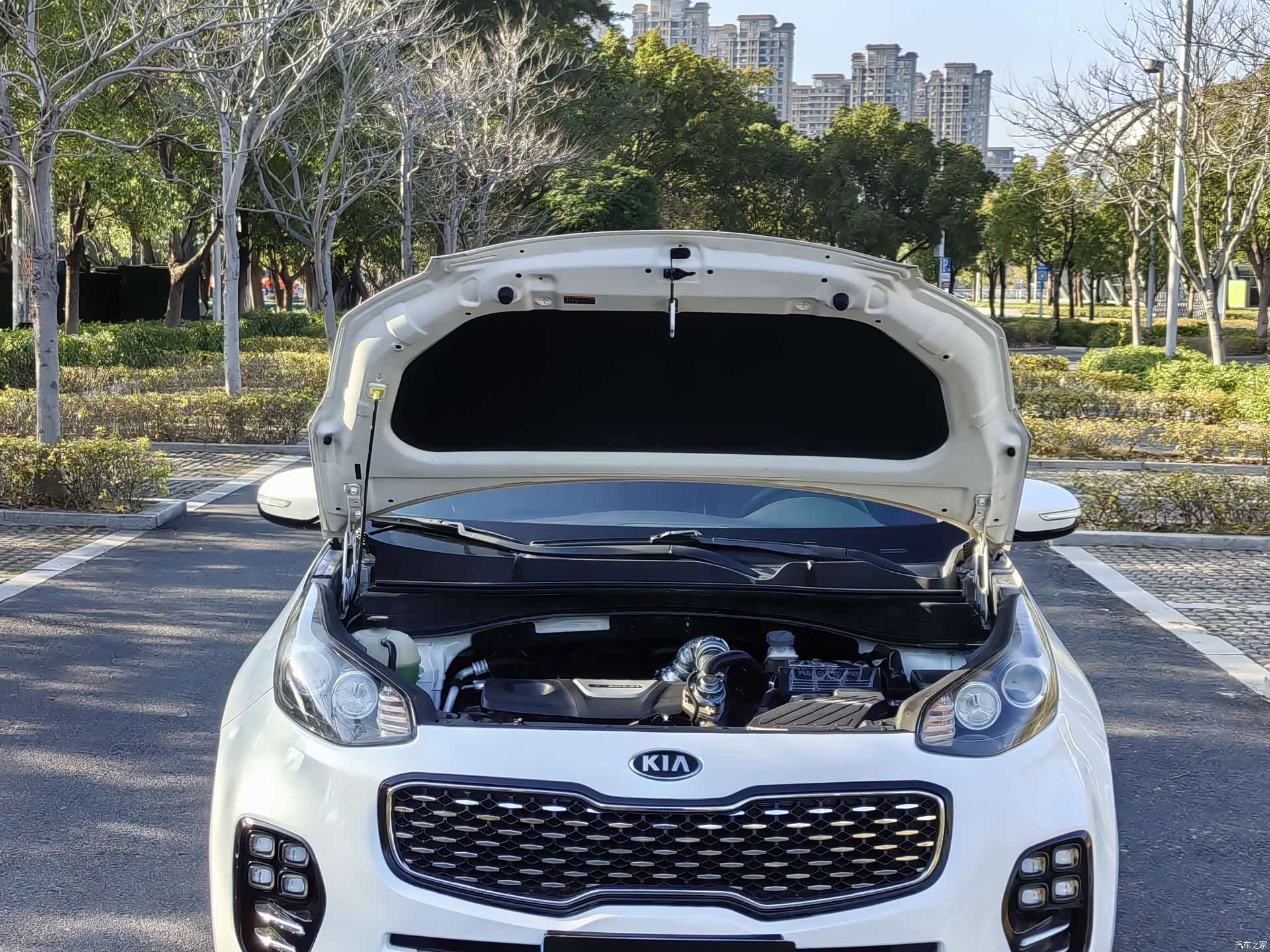 Kia KX5, 2018 10