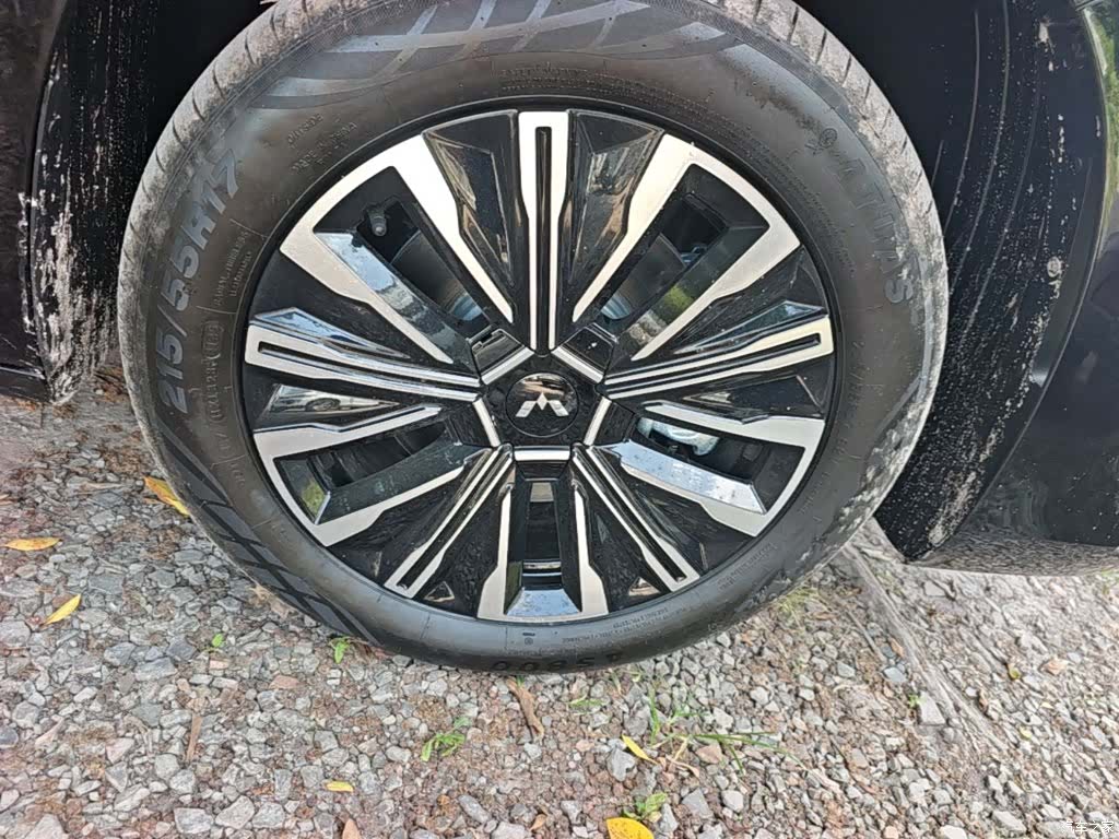 Wuling 730, 2025 14