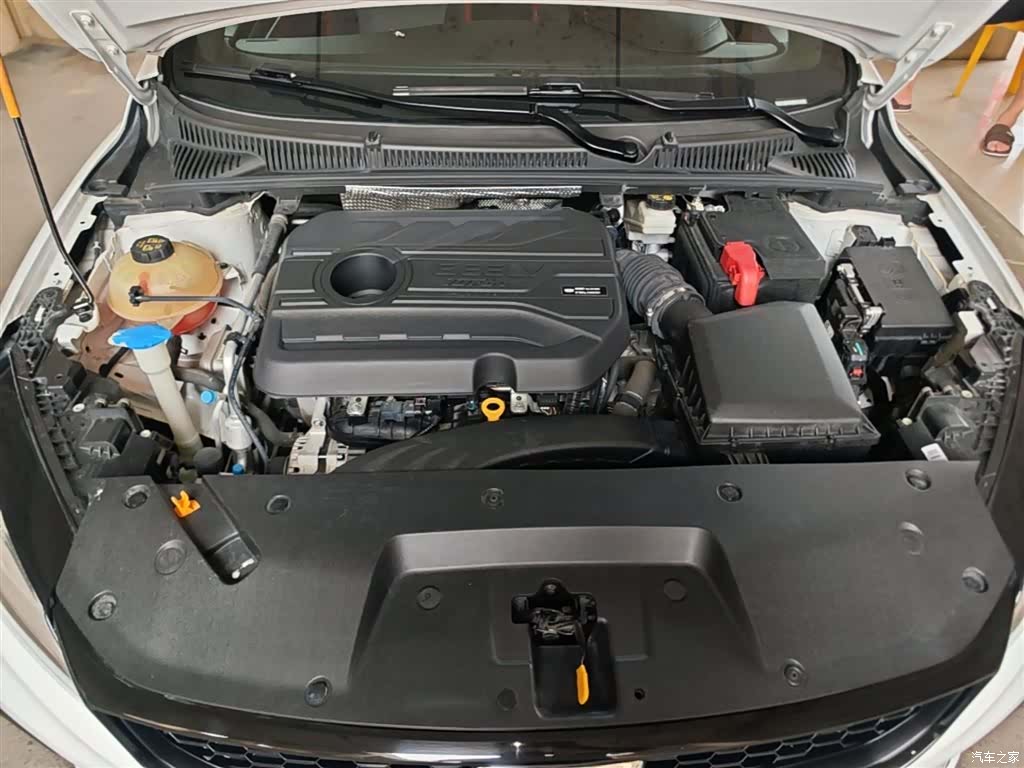 Geely Binray, 2021 20