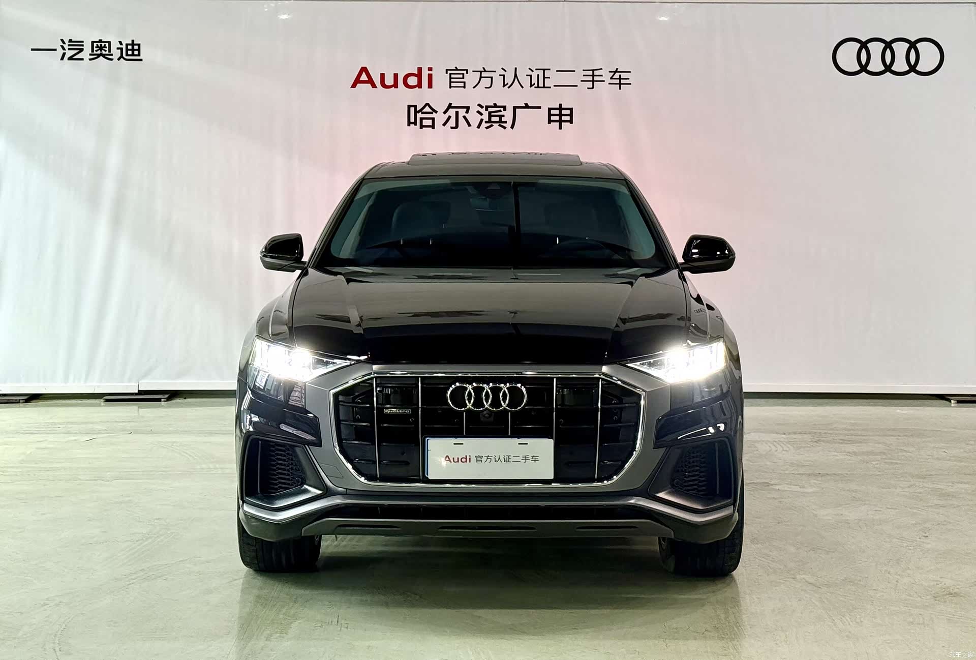 Audi Q8, 2023 все фото