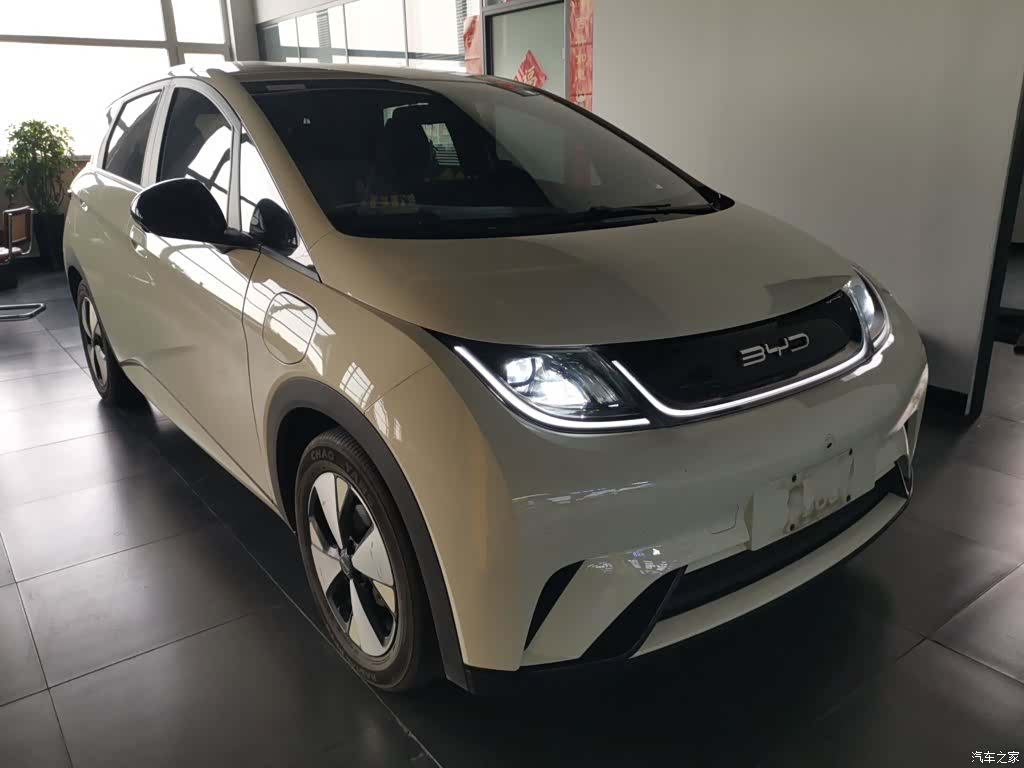 BYD Dolphin, 2023 24