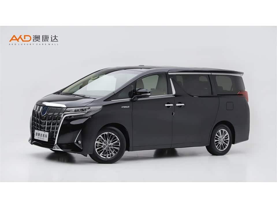 Toyota Elfa