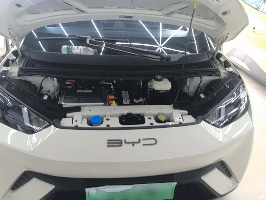 BYD Seagull, 2024 20