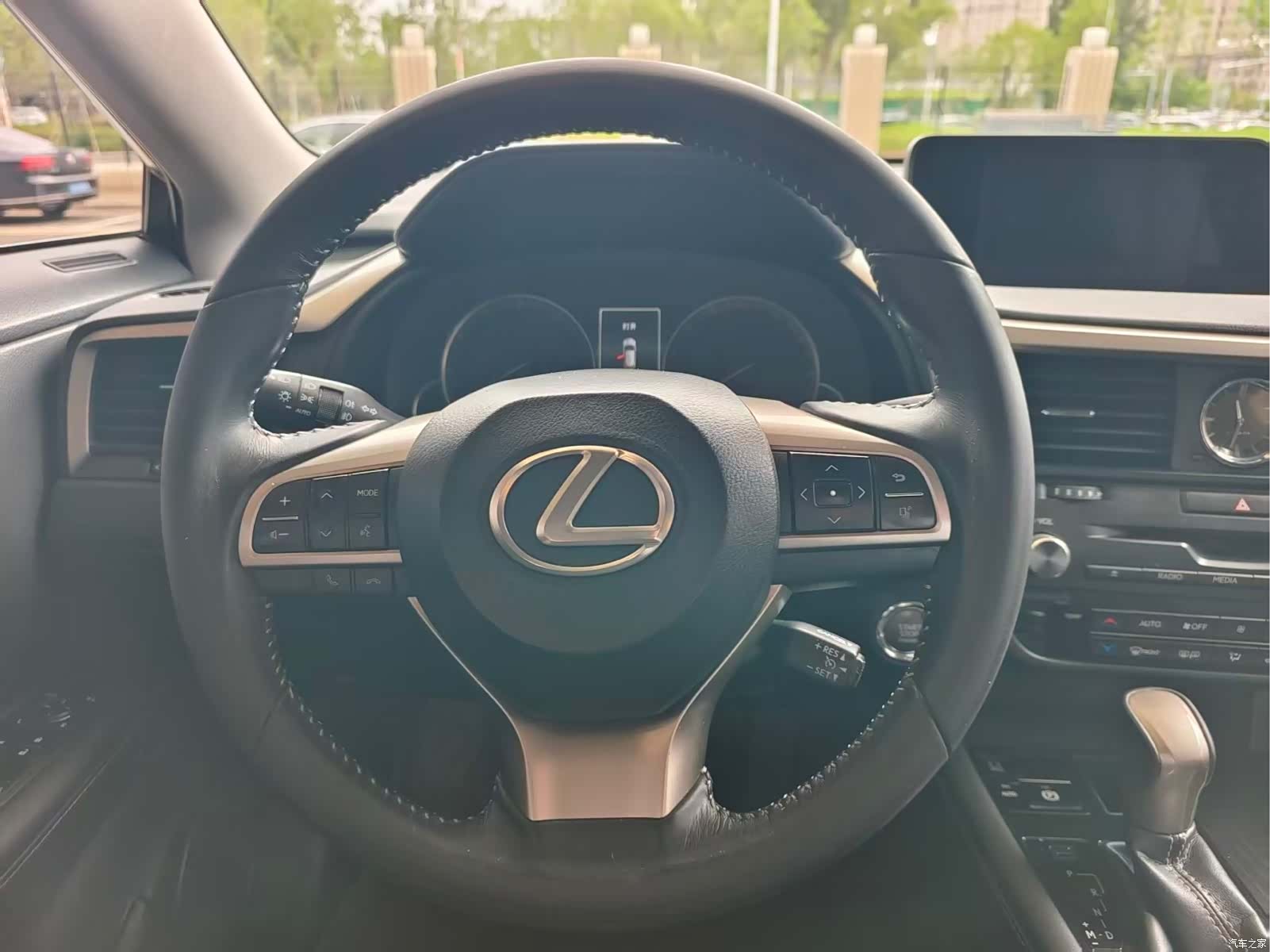 Lexus RX, 2019 все фото