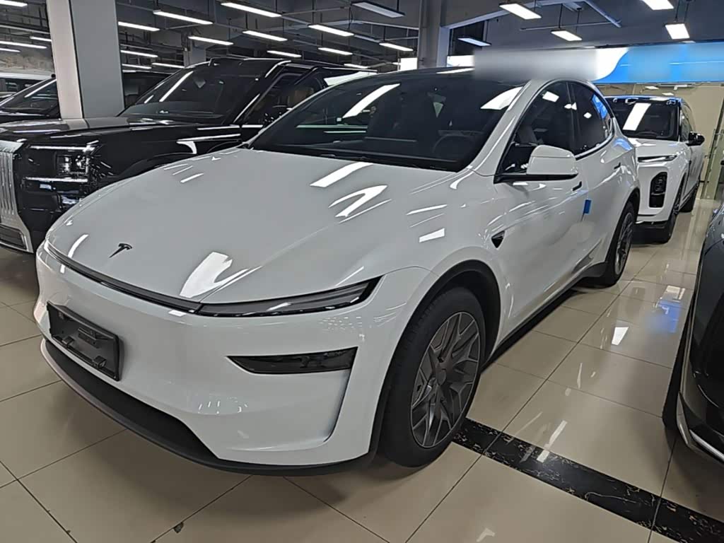 Tesla Model Y L