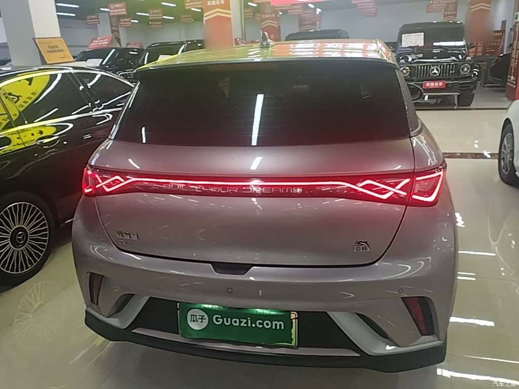 BYD Dolphin, 2022 6