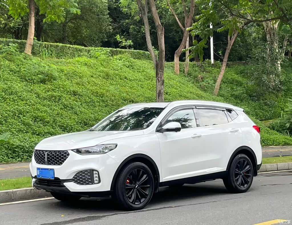 WEY VV6, 2019 1