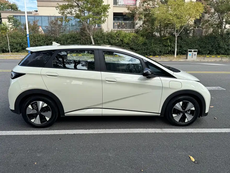 BYD dolphin