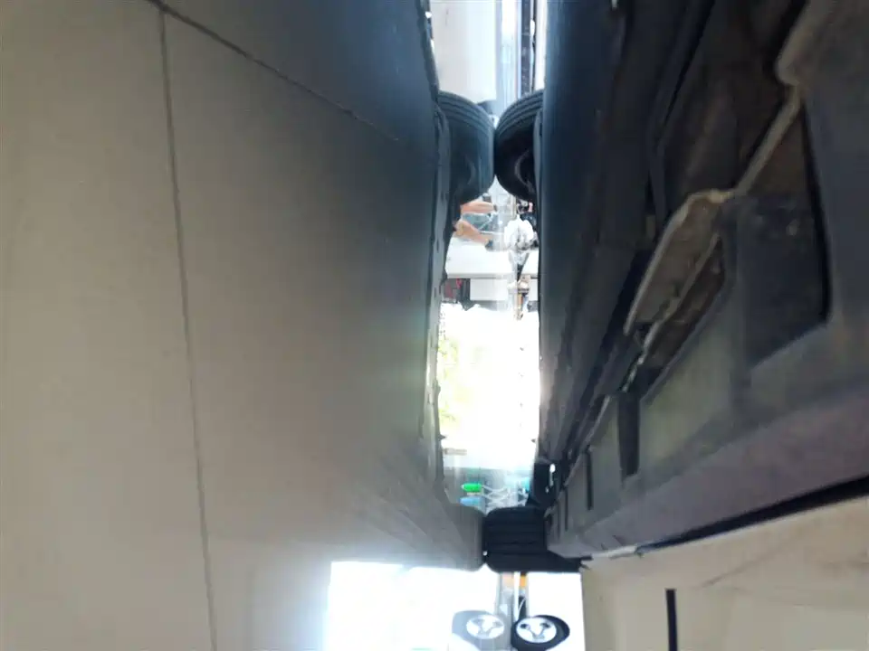 BYD dolphin BYD dolphin