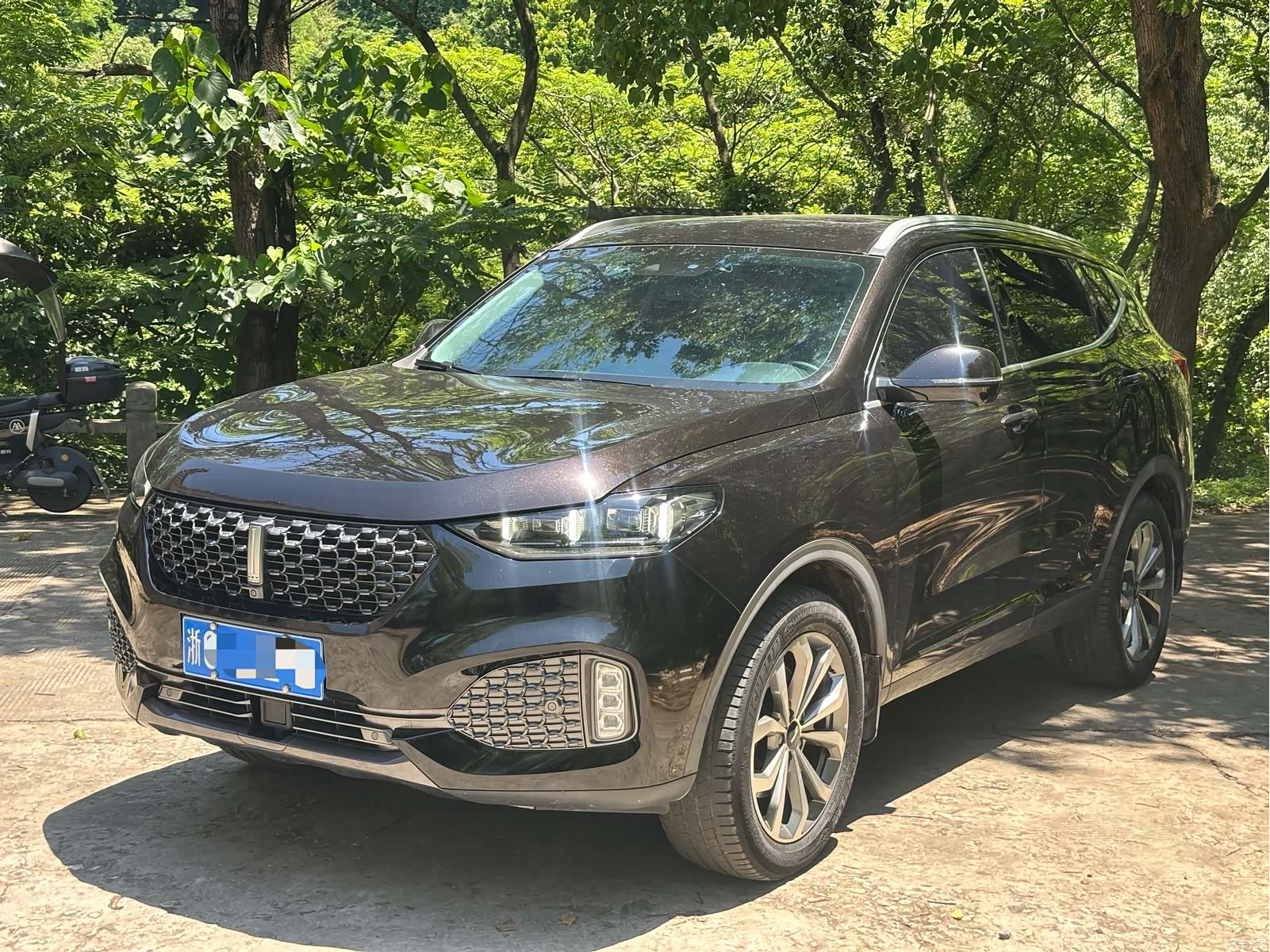 WEY VV6, 2020 1