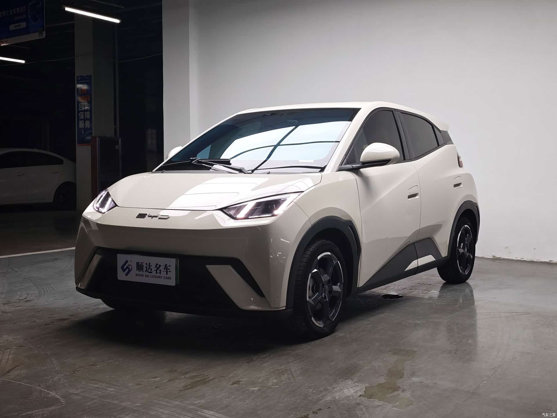 BYD Seagull, 2023 1