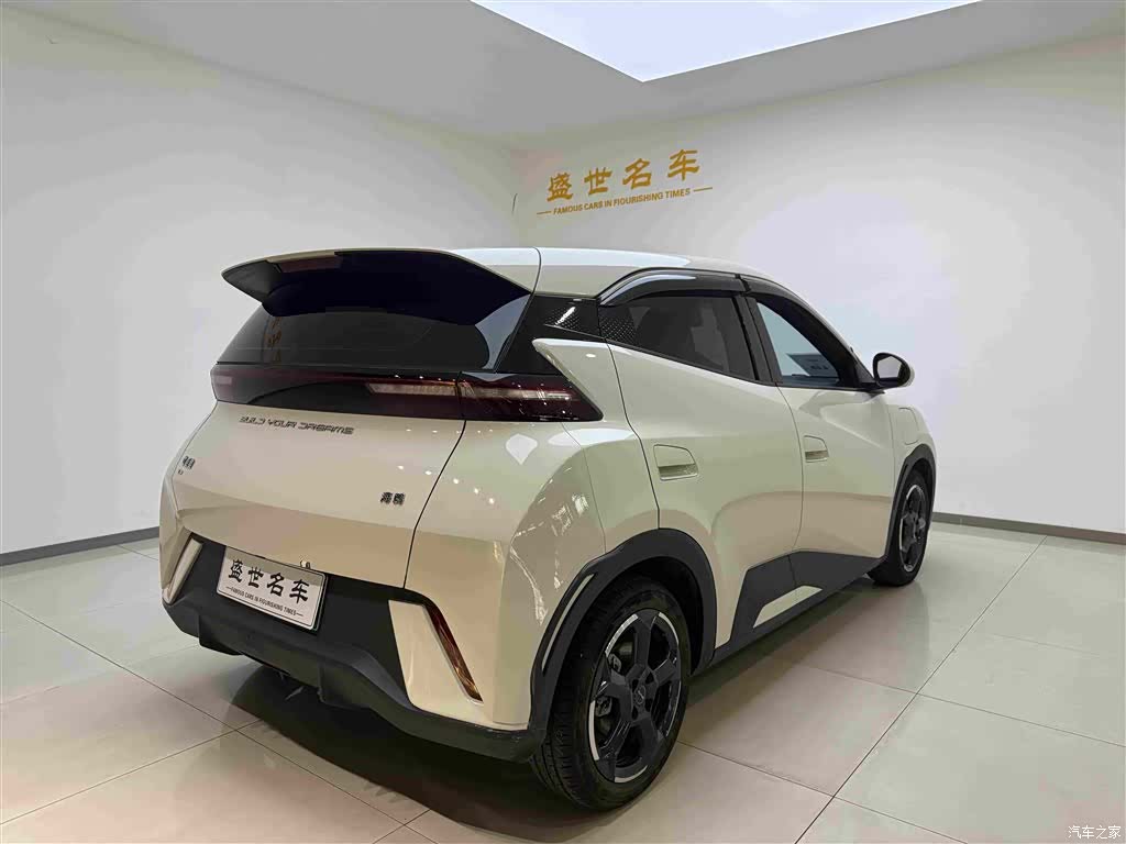 BYD Seagull, 2024 15