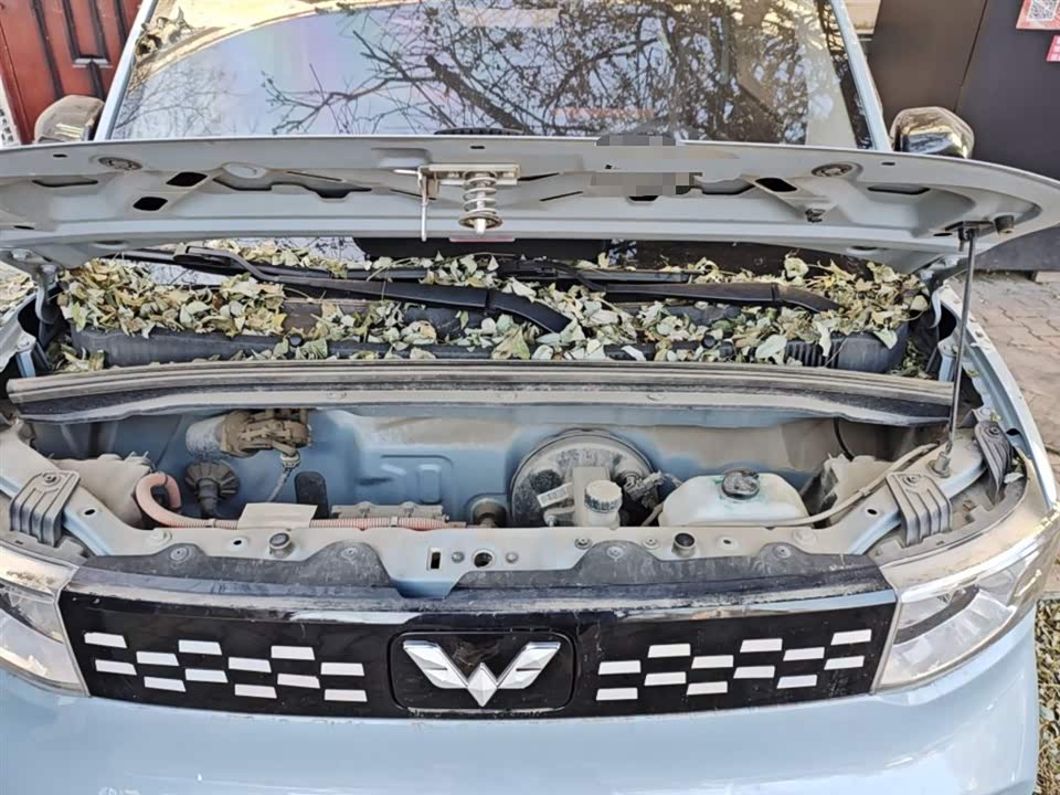 Wuling Hongguang MINIEV