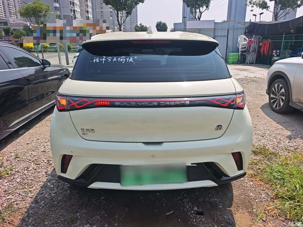 BYD Dolphin, 2024 6