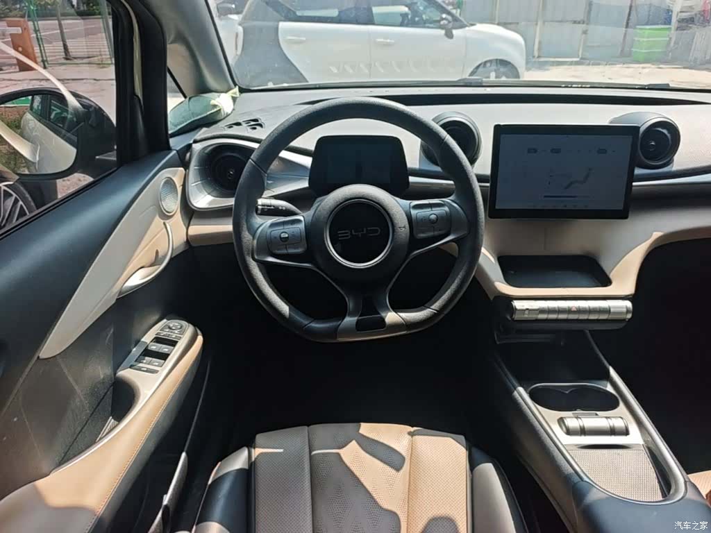 BYD Dolphin, 2024 11